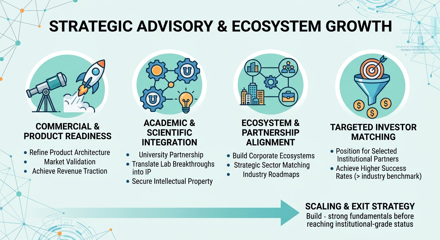 Strategic Advisory Beyond Traditional Venture Capital for Scale-Ups and Research Spin-Outs Rwanda